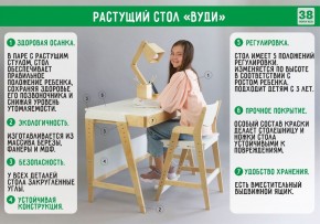 Комплект растущий стол и стул с чехлом 38 попугаев «Вуди» (Белый, Белый, Клетка) в Нефтекамске - neftekamsk.mebel-74.com | фото