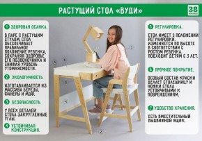 Комплект растущий стол и стул с чехлом 38 попугаев «Вуди» (Серый, Береза, Салют) в Нефтекамске - neftekamsk.mebel-74.com | фото
