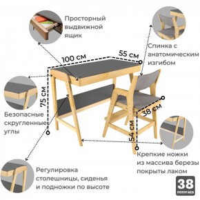 Комплект растущий стол и стул с чехлом 38 попугаев «Вуди» (Серый, Береза, Серый) в Нефтекамске - neftekamsk.mebel-74.com | фото