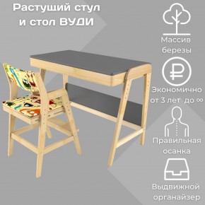 Комплект растущий стол и стул с чехлом 38 попугаев «Вуди» (Серый, Без покрытия, Монстры) в Нефтекамске - neftekamsk.mebel-74.com | фото