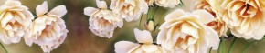 Кухонный фартук Цветы 066 МДФ матовый (3000) Flowers в Нефтекамске - neftekamsk.mebel-74.com | фото