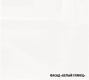 ТЕРЦИЯ Кухонный гарнитур Экстра 5 (3000 мм) в Нефтекамске - neftekamsk.mebel-74.com | фото