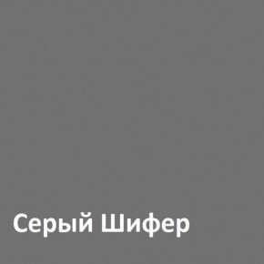 Юнона Шкаф торцевой 13.221 в Нефтекамске - neftekamsk.mebel-74.com | фото